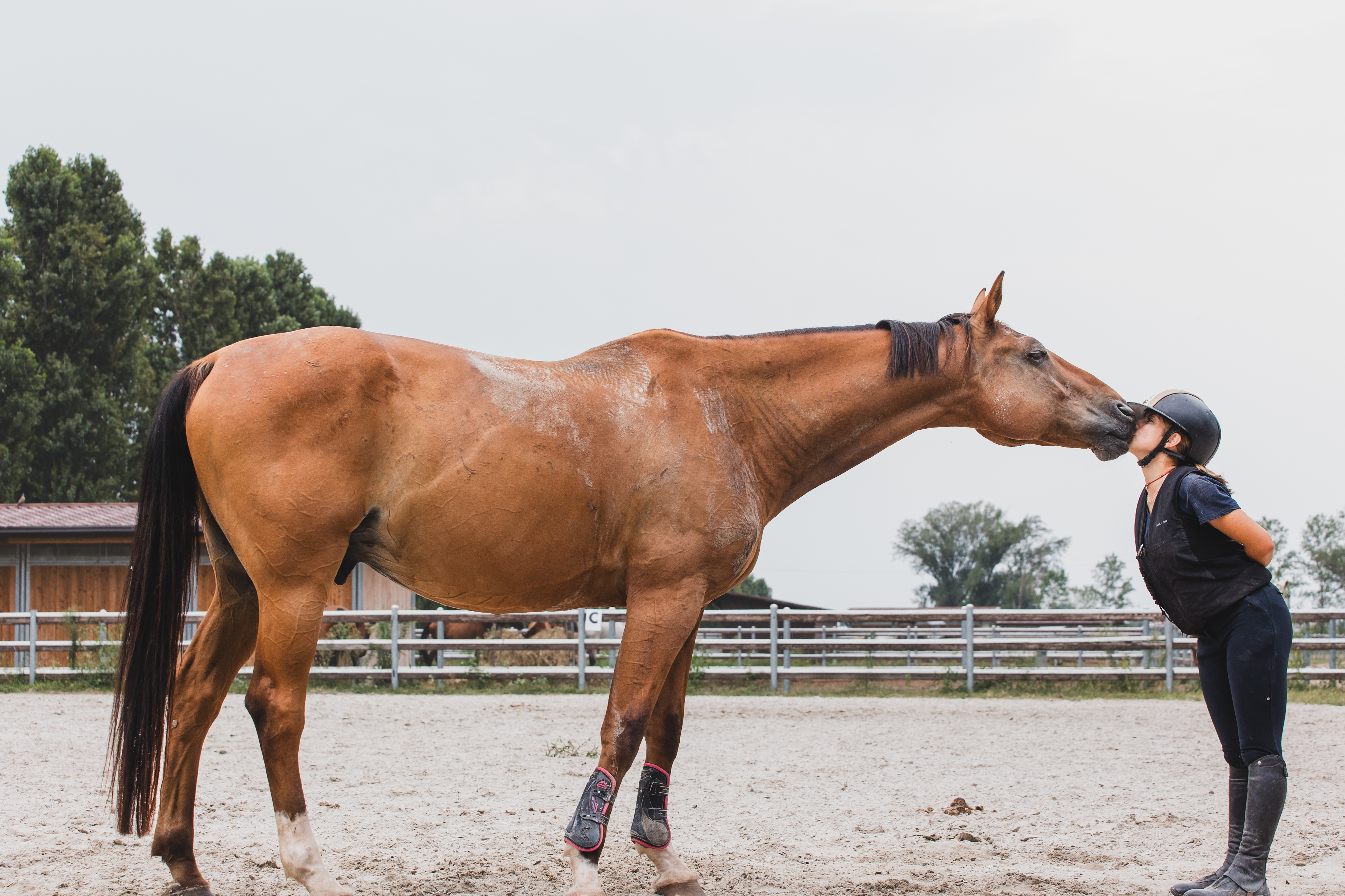 Istruttori Liberty Stables